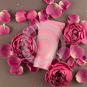 Skincare products container on bright pink background with blooming rose flowers. close up. Unbranded package mockup