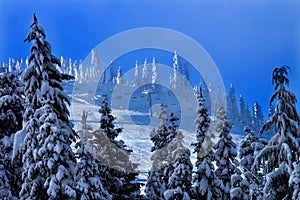 Sking Chairlifts Snowy Trees at Snoqualme Pass Washington