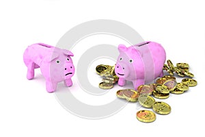 Skinny vs. fat piggy bank