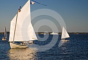 Skipjack Sailing on the Chesapeake Bay