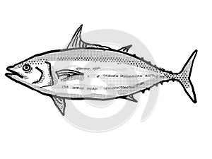 Skipjack Tuna Australian Fish Cartoon Retro Drawing