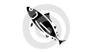 skipjack tuna glyph icon animation