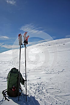 Skipoles