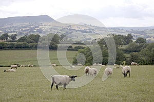 Skirrid South Wales