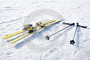 Skis on snow photo