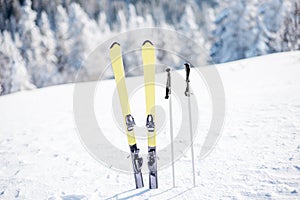 Skis on the snowy mountains photo