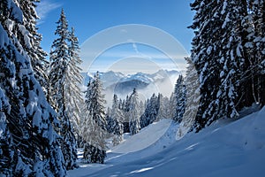 Skitour in the Allgaeu Alps near Oberstdorf on a beautiful bluebird day in winter