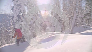 Skitour in Siberia. A freerider riding down the hill in a snowy forest.