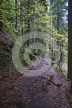 Sklarky waterfall in Sklarszka Poreba, Poland