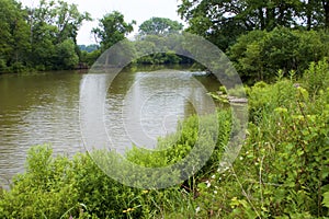 Skokie Lagoons along  Bike Trail  701755