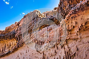 Skolithos trace fossils in Tumblagooda Sandstone, Kalbarri, Western Australia.