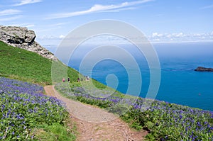 Skomer island, a view of the island