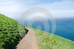 Skomer island, a view of the island