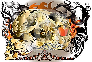 Skull animall and skull man