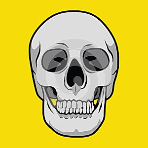 Skull is bald. Illustration for poster