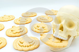 Skull biting a Halloween pumpkin-shaped cookie surroundeb by some other cookies, on a white background. photo