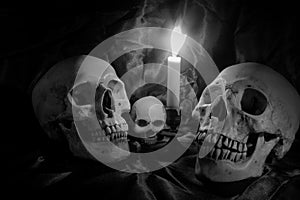 Skull with Bunch of flowers and candle light on wooden table with black background in night time in black and white/ Still life st