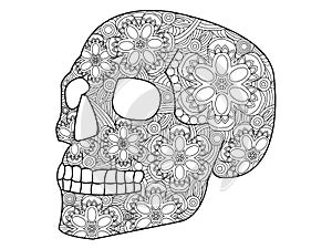 Skull coloring vector for adults