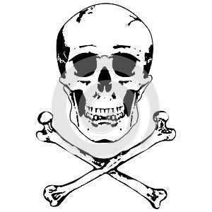 Skull and crossbones vector