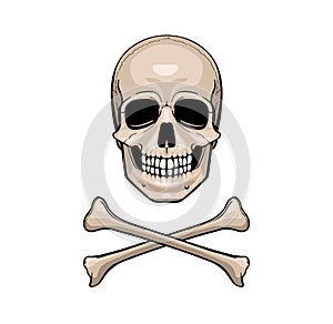 Skull with crossbones, vector illustration