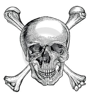 Skull with crossed bones,Pirate symbol,Logo hand drawing vintage