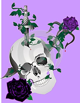 Skull, with daggers and roses illustration