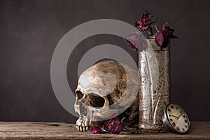 Skull with dry rose in ceramic vase