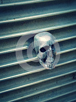 Skull grille