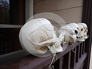 skull heads will roll.. Happy spooky Halloween decorations