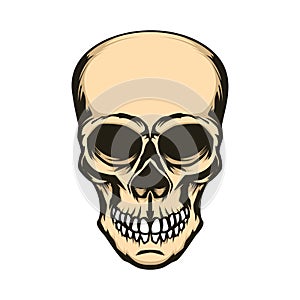 Skull illustration isolated on white background. Design element for logo, label, sign.