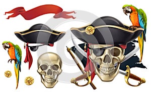 Skull and parrot. Pirate emblem. vector icon set