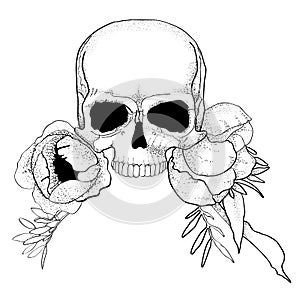 Skull with peony flowers boho graphic vector