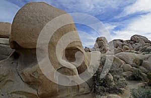 Skull Rock, Joshua Tree National Park, California, USA