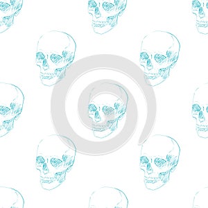 Skull sketch pattern seamless. Skeleton head background. vector texture