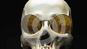 Skull with US Dollar bills in his mouth, bitcoins on the eyes. dark background