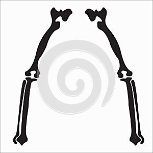 Skull vector illustration for various design needs