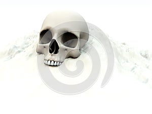 Skull In White