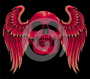 skull with wings on black background. vector illustration design