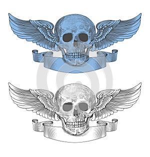 Skull with wings and ribbon in vintage engraving style