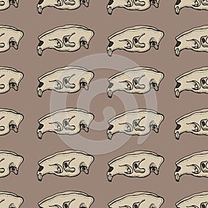 Skulls of animal seamless pattern. Doodle mammal skeleton. Hand drawn illustration on a brown background.