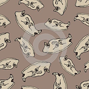 Skulls of animal seamless pattern. Doodle mammal skeleton. Hand drawn illustration on a brown background.