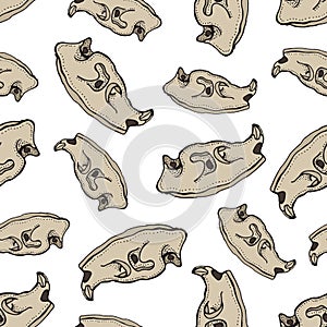 Skulls of animal seamless pattern. Doodle mammal skeleton. Hand drawn illustration on a white background