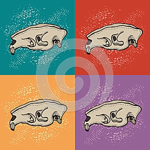 Skulls of animal vector illustration. Doodle mammal skeleton. Hand drawn pattern on a colorful background.