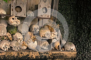 Skulls and bones