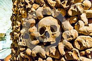 Skulls and bones from charnel house