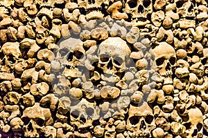 Skulls and bones from charnel house