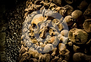 Skulls and bones from charnel house