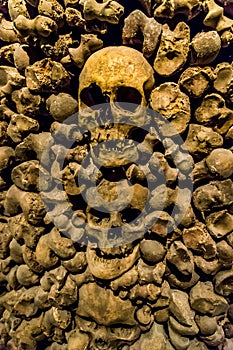 Skulls and bones from charnel house