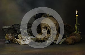 Skulls and pile of bone with fruit and flower rot