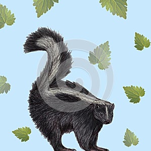 Skunk illustration drawn with pen and digital color photo